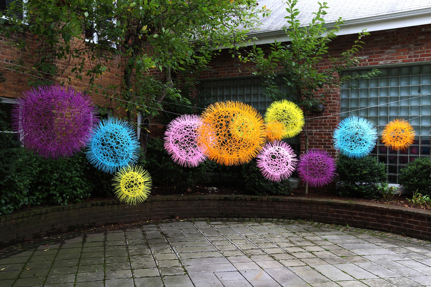 Sui Park PomPom