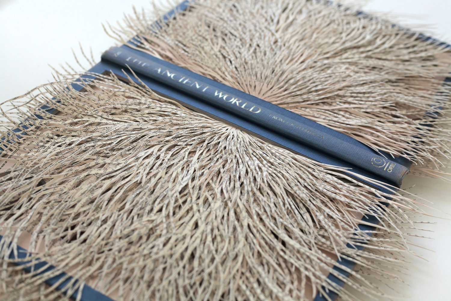 Barbara Wildenboer The Ancient World