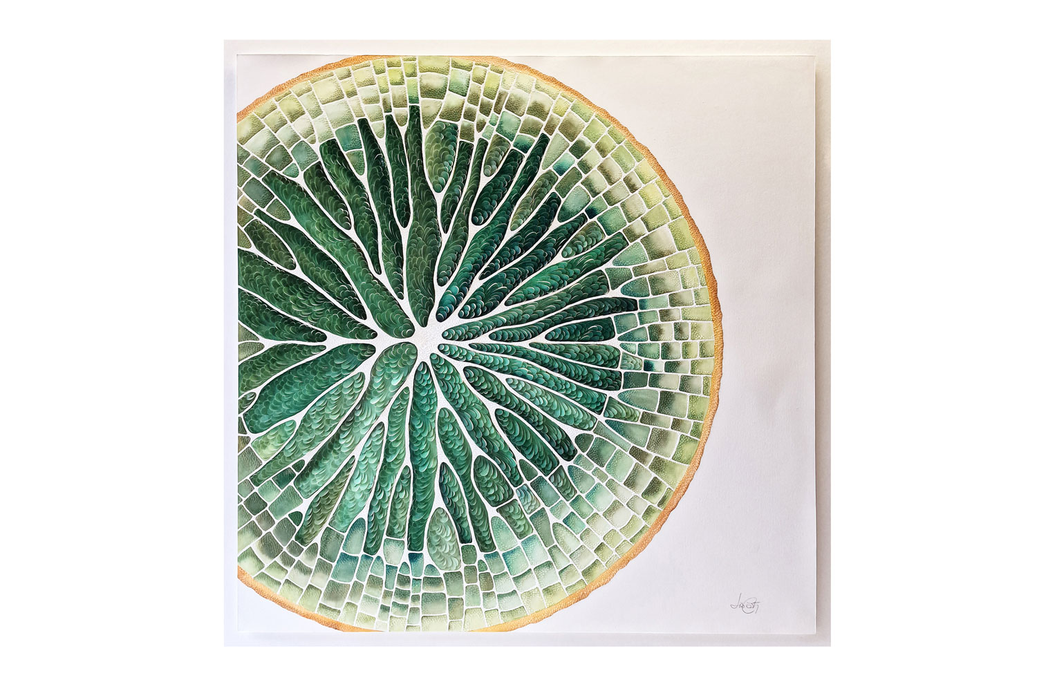 Lis Costa Victoria Regia