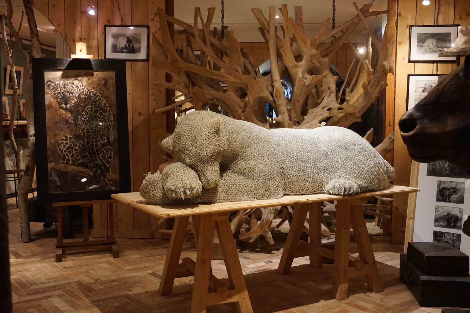Aurélien Raynaud Polar Bear