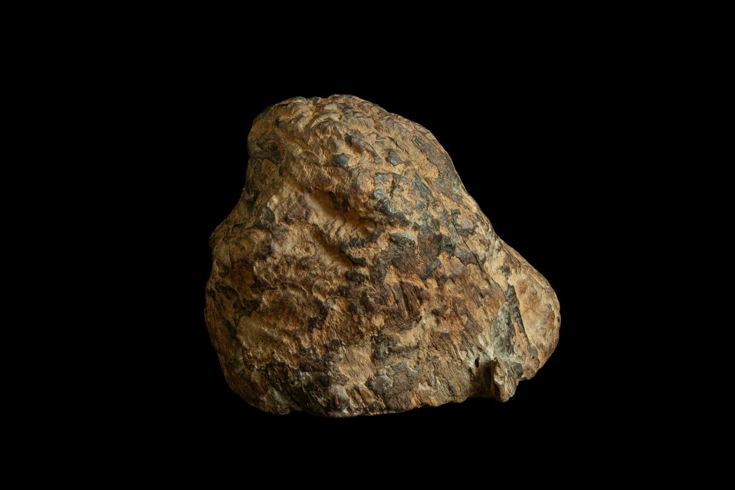 Masaya Hashimoto Stone