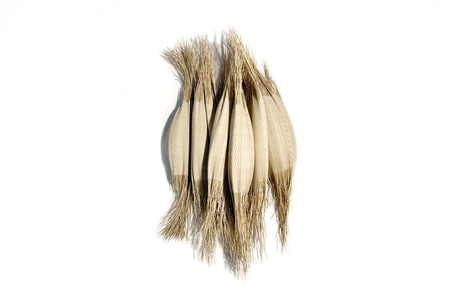 Charlotte Blake Twill