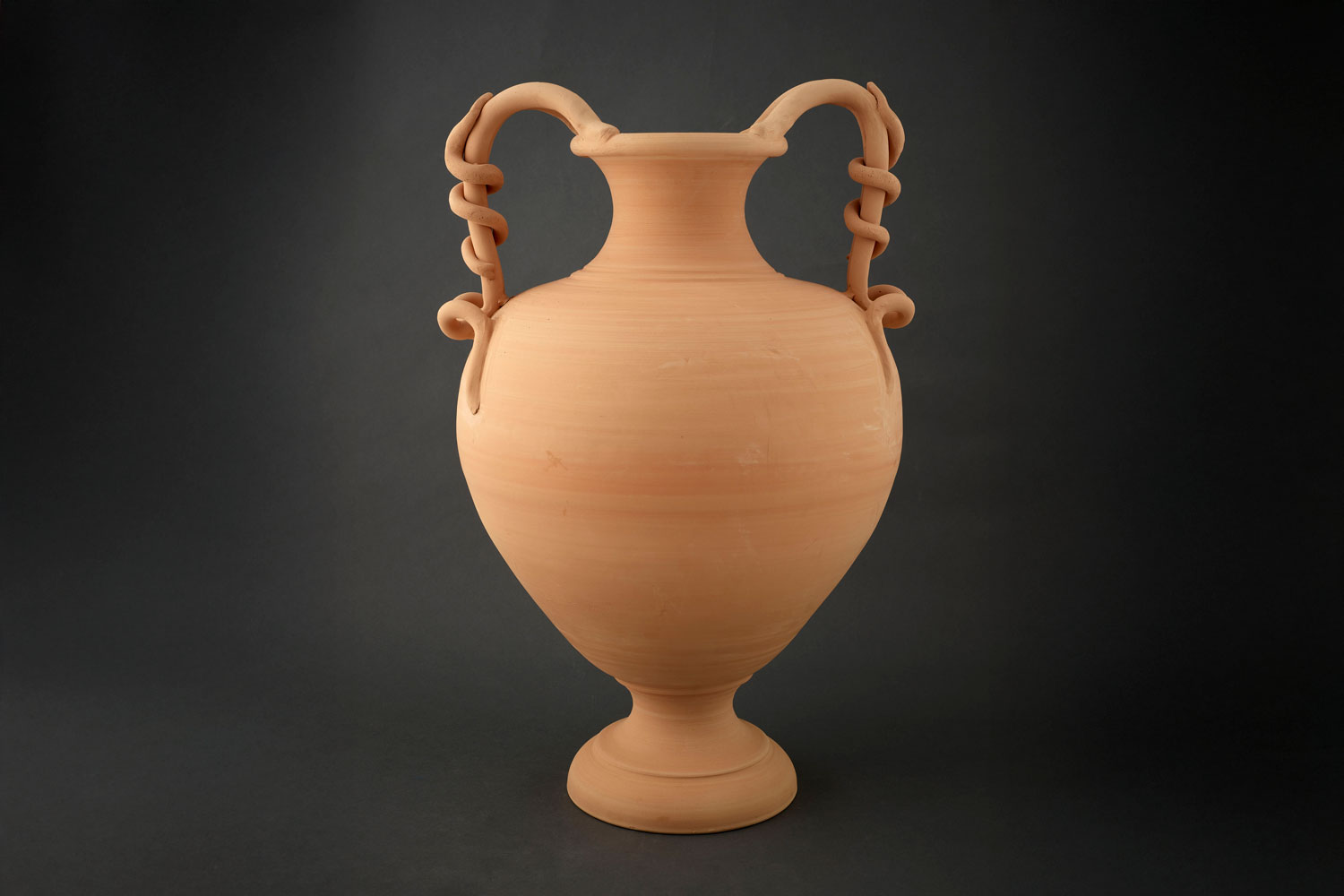 Juan Miguel Alía de Las Heras Amphora with snake handles