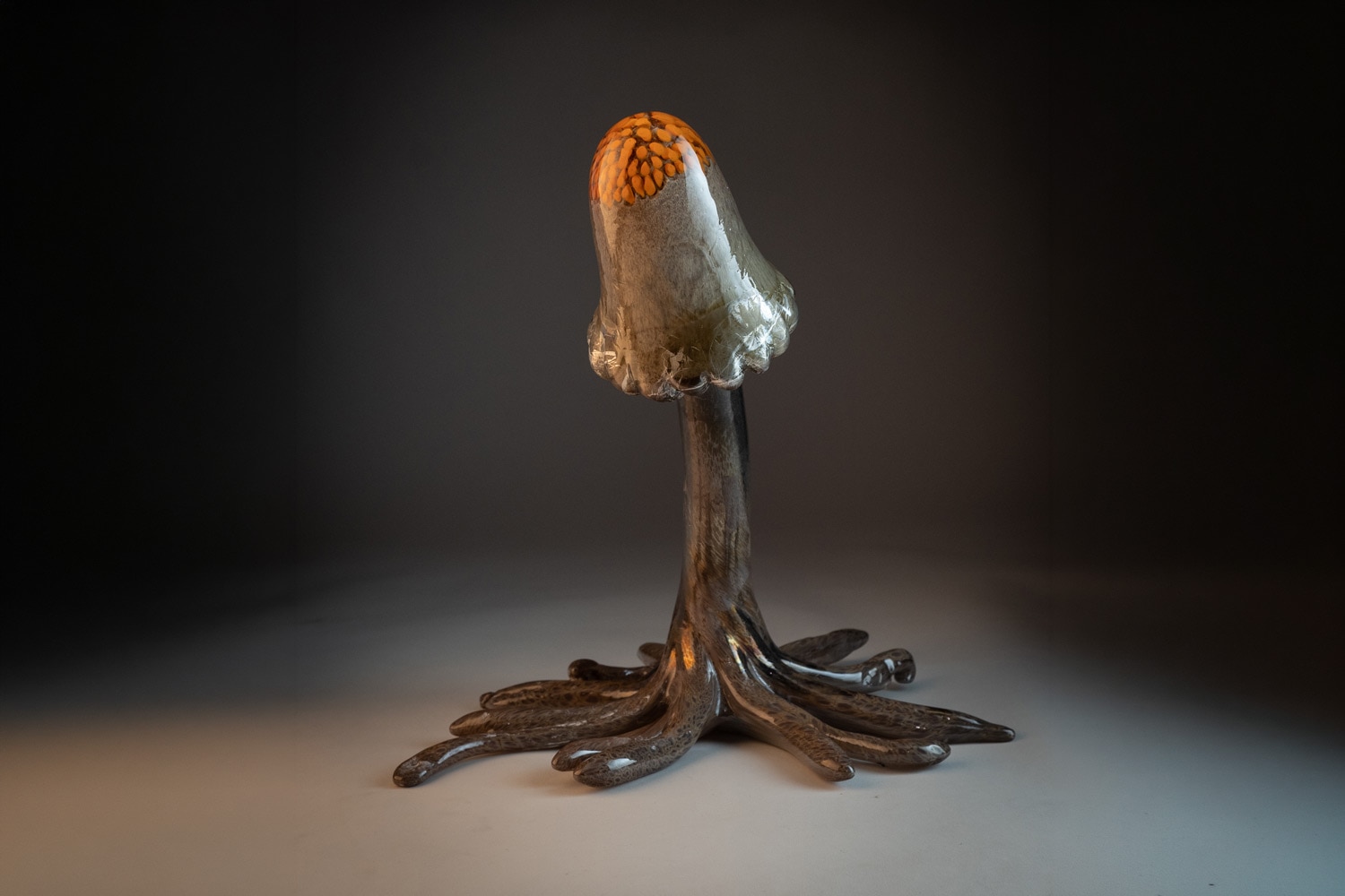 Deborah Czeresko Brown, orange spots and Silver Top Mushroom