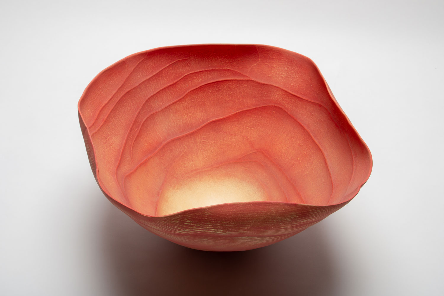 Paula Murray Vibrant Space