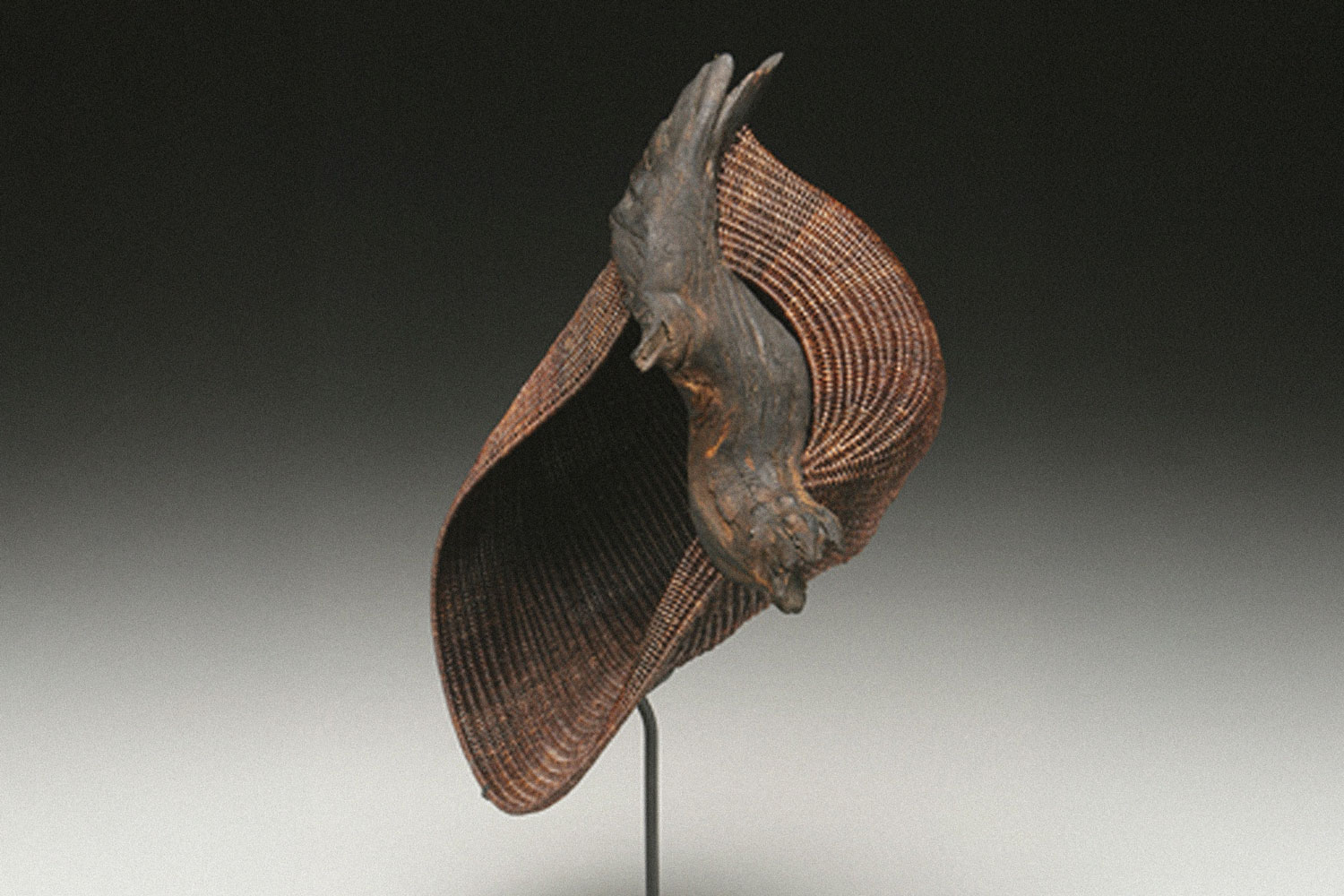 Deborah Smith In Flight