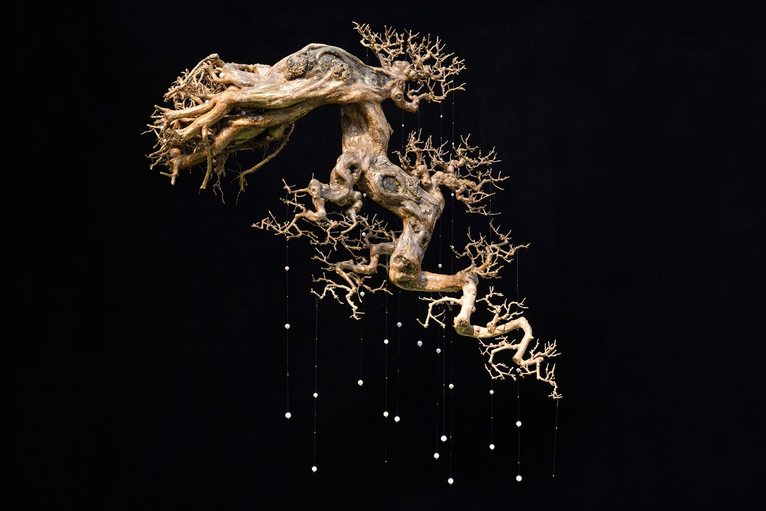Kammy Wong Serpentine Constellation