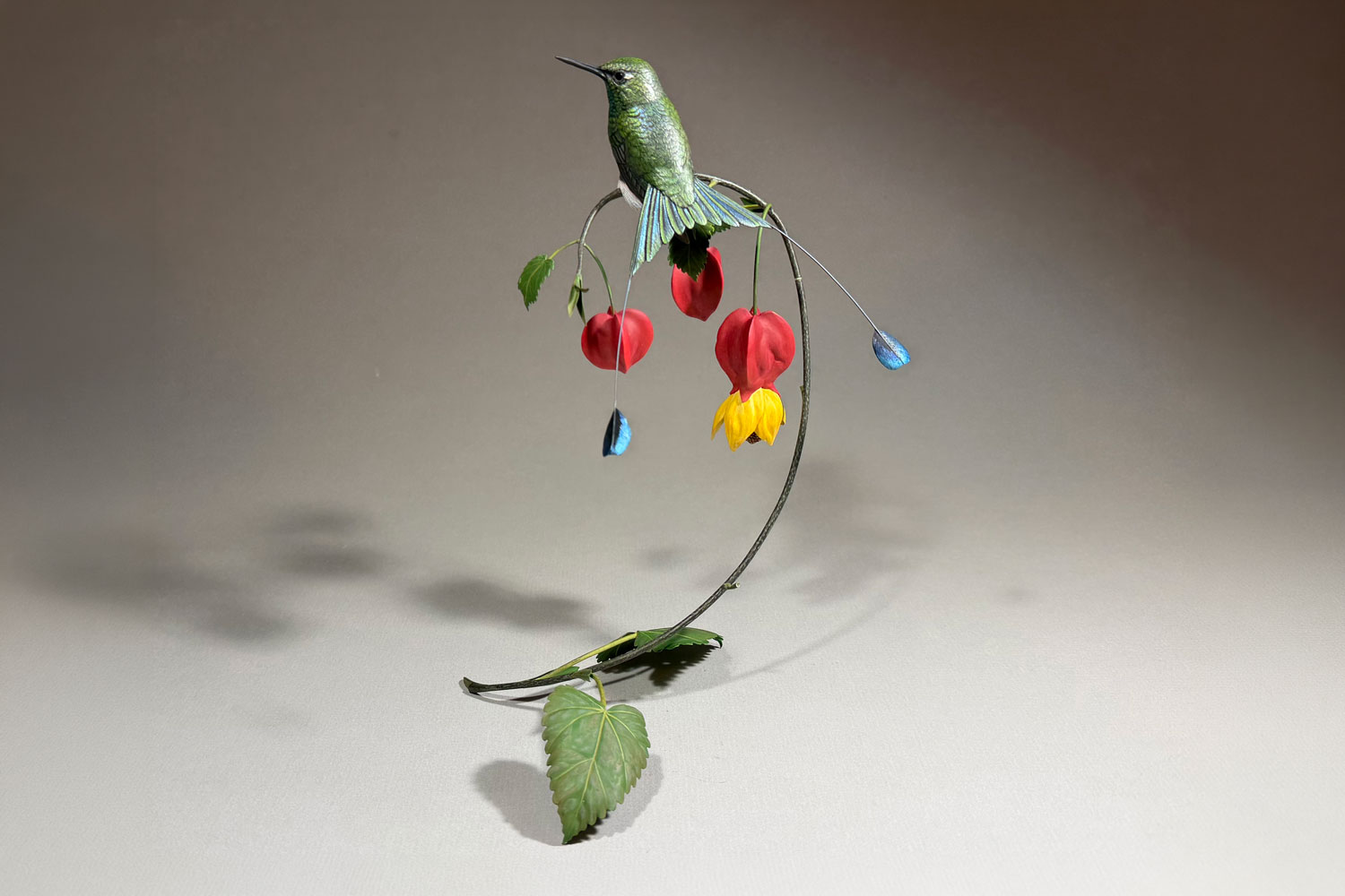 Gerald Painter White-booted Racket-tail hummingbird