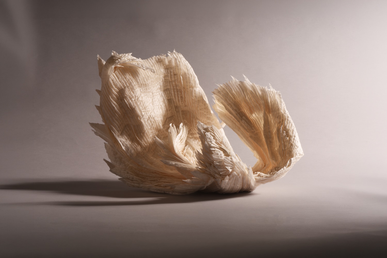 Kinga Földi White Swan